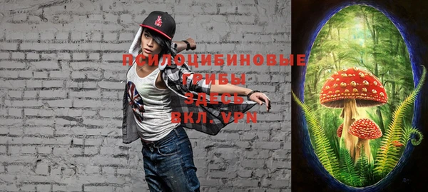 дживик Россошь