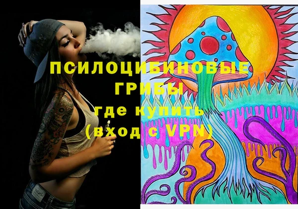 тгк Рославль