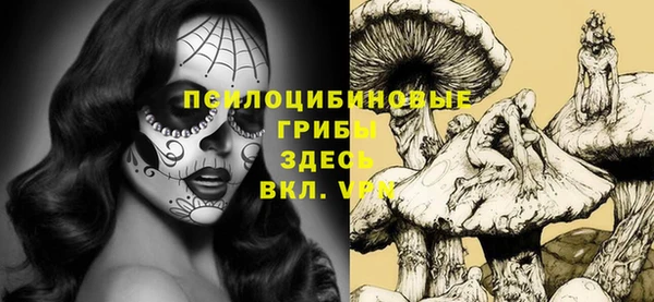 тгк Рославль